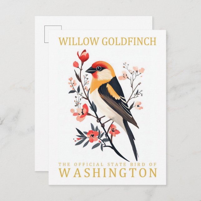 Postal Viaje de Willow Goldfinch Bird (Anverso / Reverso)
