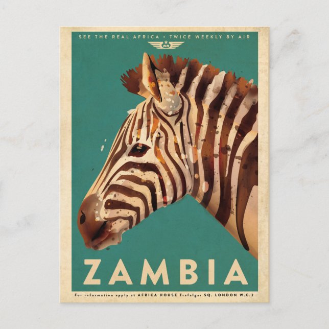 Postal Viaje de Zambia Zebra (Anverso)