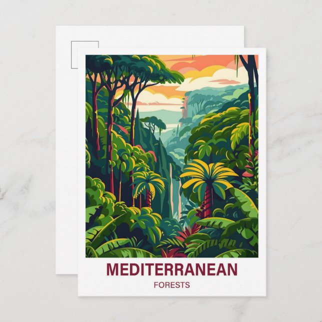Postal Viaje del Ilustracion forestal mediterráneo (Anverso / Reverso)