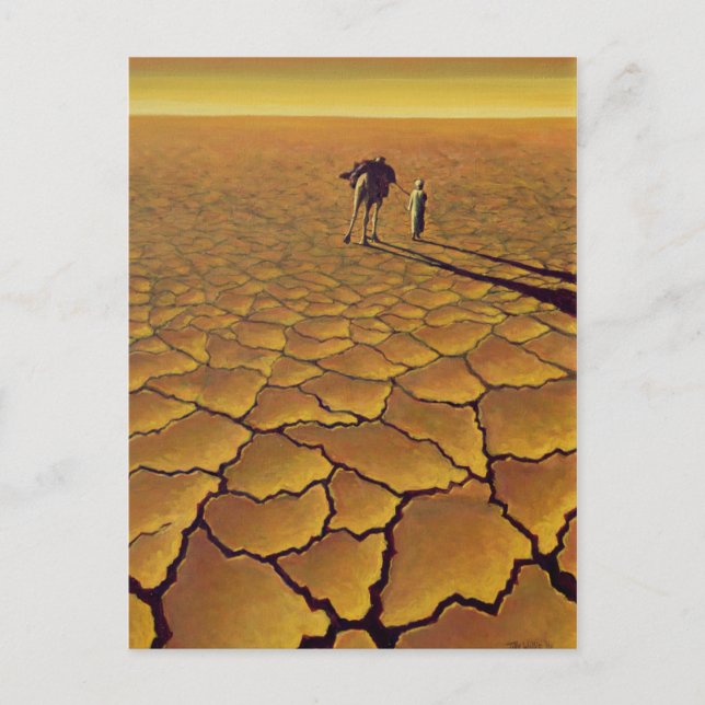 Postal Viaje del Sáhara 1995 (Anverso)