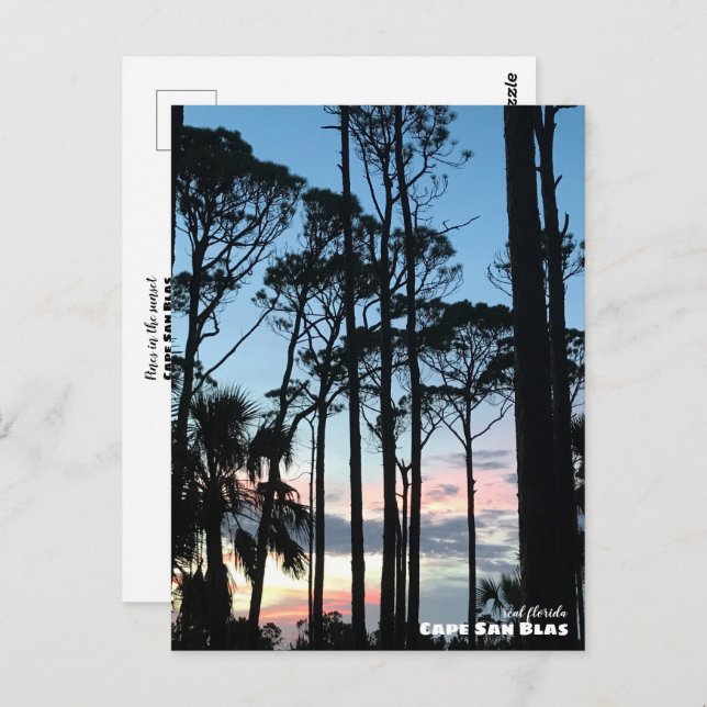 Postal Viaje | Florida - Cape San Blas Pines Atardecer (Anverso / Reverso)