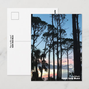 Postal Viaje Florida - Cape San Blas Pines Atardecer