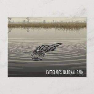 Postal Viaje por los Everglades de Florida con Cocodrilos