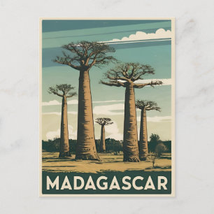 Postal Viaje retro vintage Madagascar Baobab Tree
