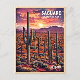 Postal Viaje Vintage Parque Nacional Saguaro Arizona Retr