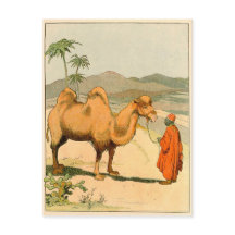 Viajero de camello y desierto de África