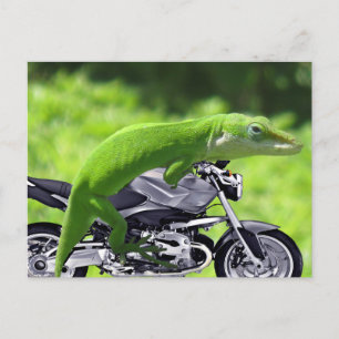 Postal Viajero gecko verde hawaiano