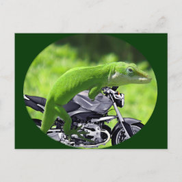 Postal Viajero gecko verde hawaiano