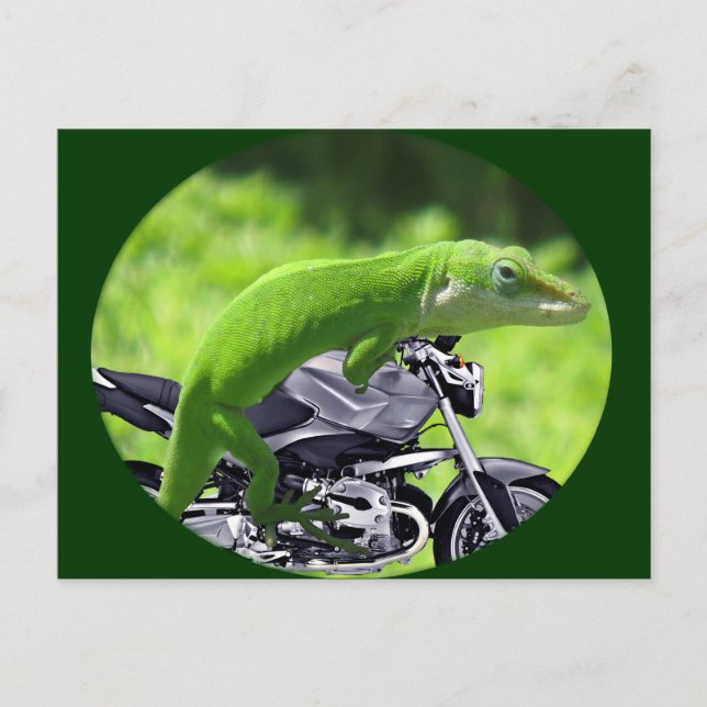 Postal Viajero gecko verde hawaiano (Anverso)