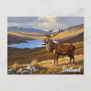Postal Viajes de ciervos en Escocia