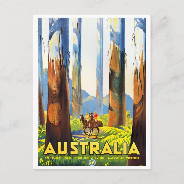 Postal Viajes de cosecha de árboles más altos de Australi (Anverso)