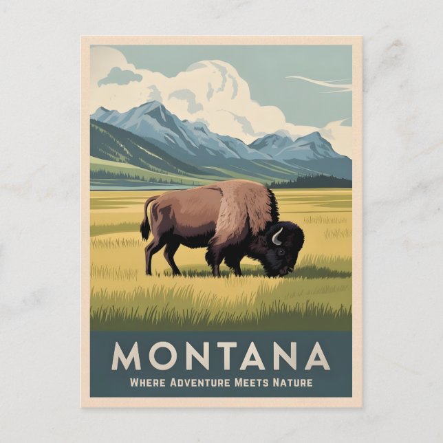 Postal Viajes de época Montana Bison Wildlife Retro Escen (Anverso)
