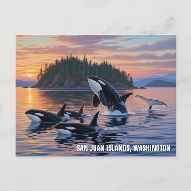 Postal Viajes de las Orcas en Washington en las islas san (Anverso)