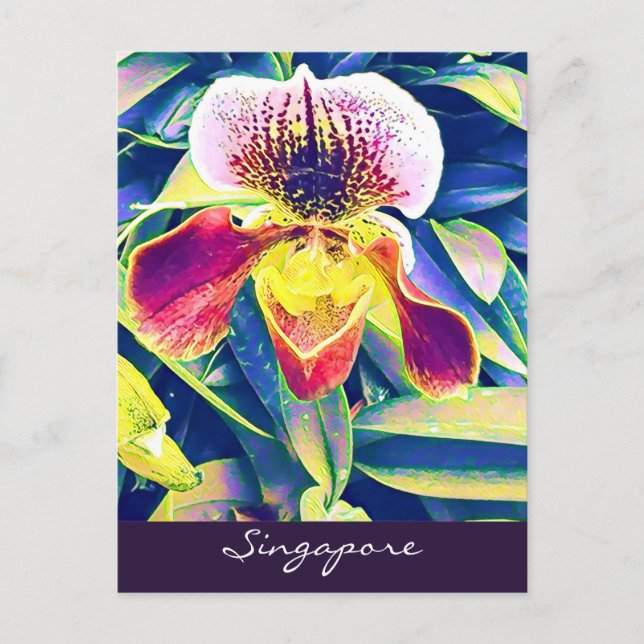 Postal Viajes de orquídeas de Singapur al sudeste de Asia (Anverso)