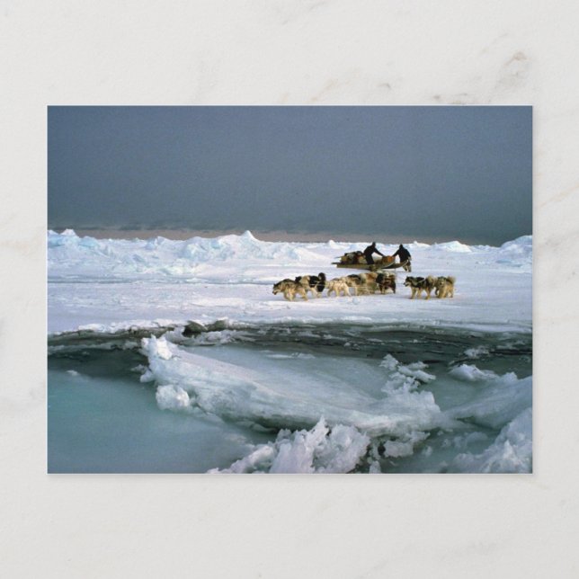 Postal Viajes de perros en hielo, Isla Ellesmere, Noroest (Anverso)