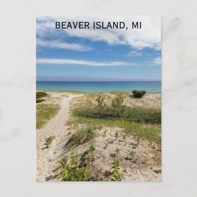 Postal Viajes de playa de Beaver Island Michigan (Anverso)