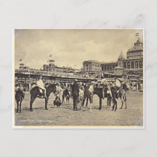 Postal Viajes en burro, Scheveningen 1906