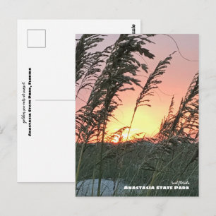 Postal Viajes   Florida - Anastasia Sea Oat Sunset