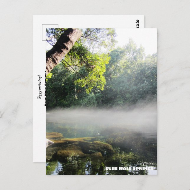 Postal Viajes | Florida - Blue Hole Springs Foggy Morning (Anverso / Reverso)