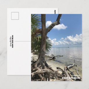 Postal Viajes Florida - Playa Cape San Blas
