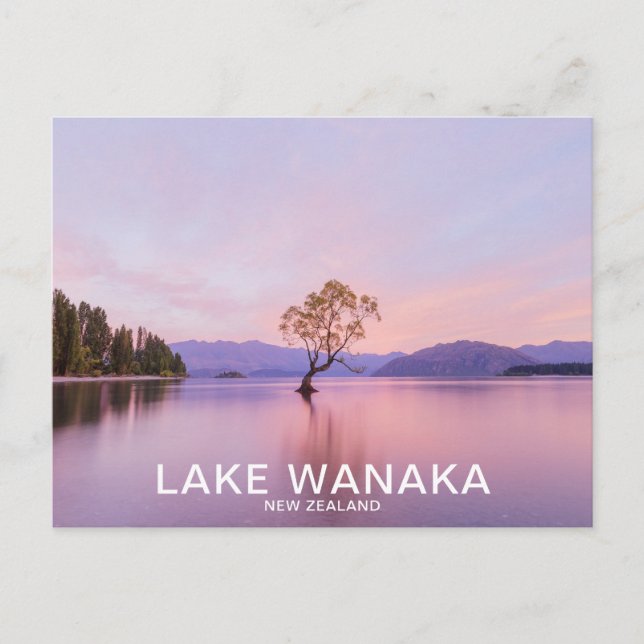 Postal Viajes naturales del Wanaka Tree Sunrise