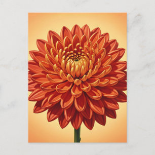 Postal Vibrante Flor de Crisantemo Rojo Naranja Botánica