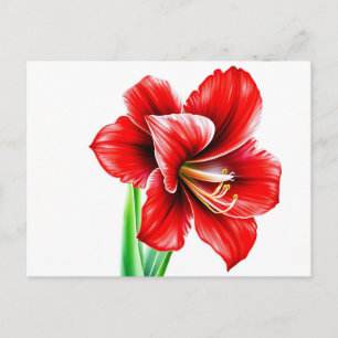 Postal Vibrante Red Amaryllis en acuarela