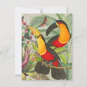 Postal Vibrantes Aves Tropicales Turcas Arte Selva Exótic