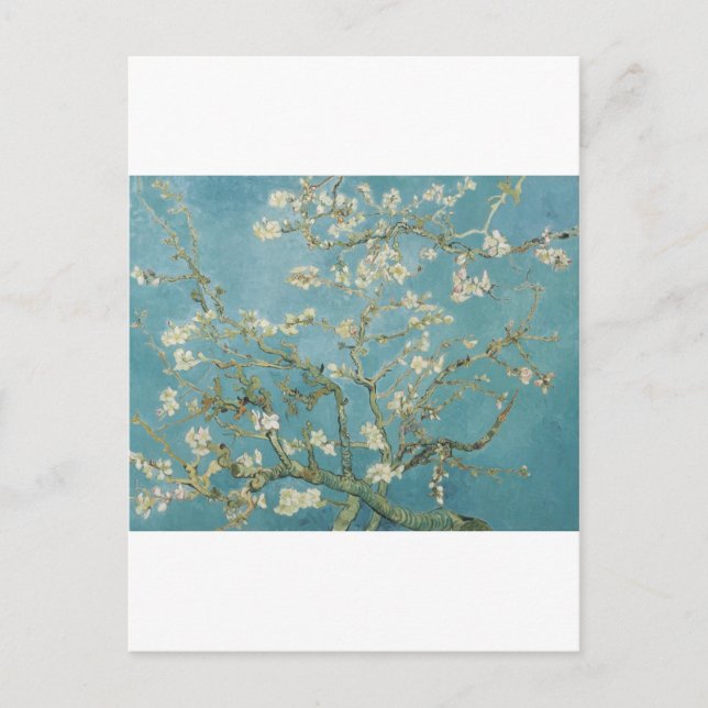 Postal Vicente Van Gogh Branches de árbol de almendros (Anverso)