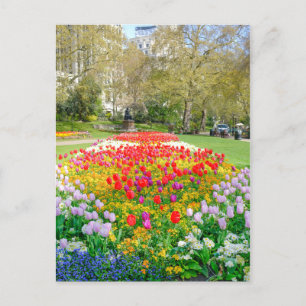 Postal Victoria Embankment Gardens, London UK Postcard