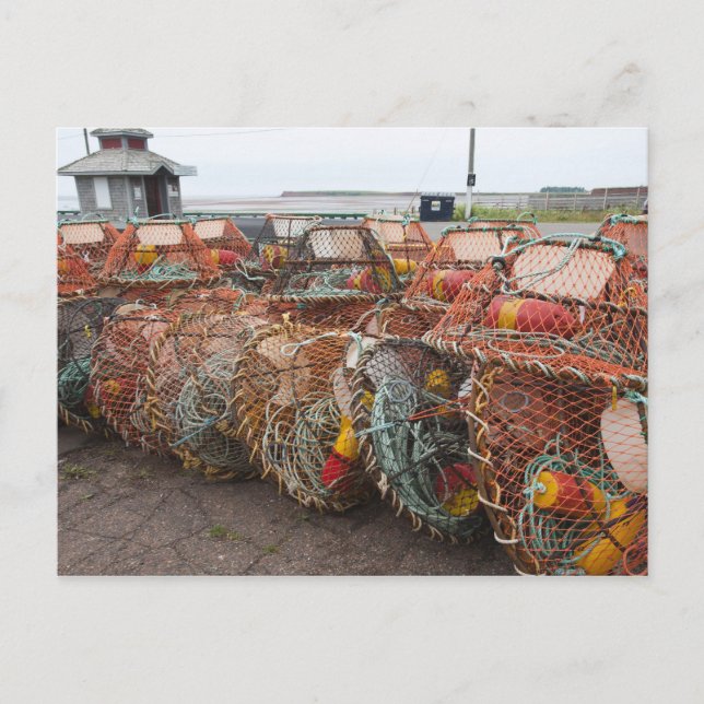 Postal Victoria, Isla del Príncipe Eduardo. Trampas para  (Anverso)