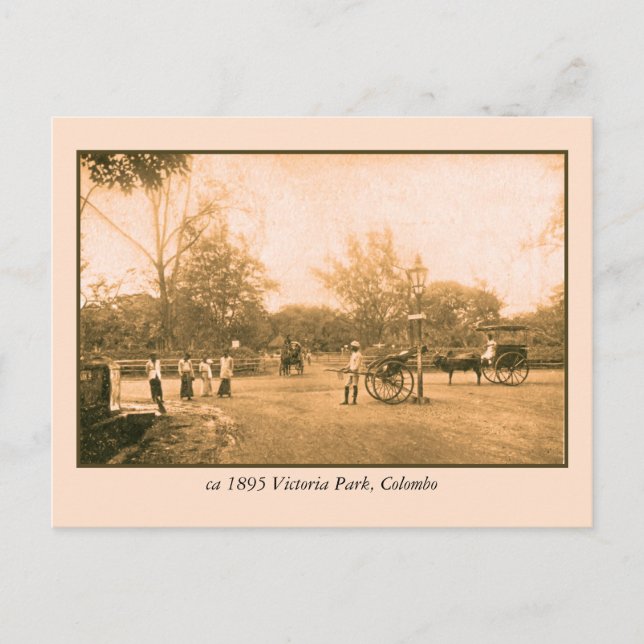 Postal Victoria Park Colombo Ceylon (Sri Lanka) (Anverso)
