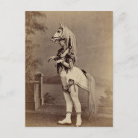 Victorian Horse Costume Daguerreotype/Photo