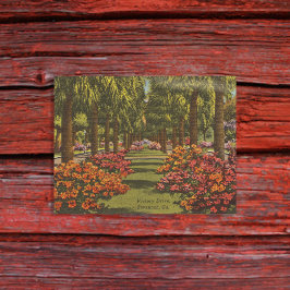 Postal Victory Dr Azaleas Palmeras Savannah GA retro