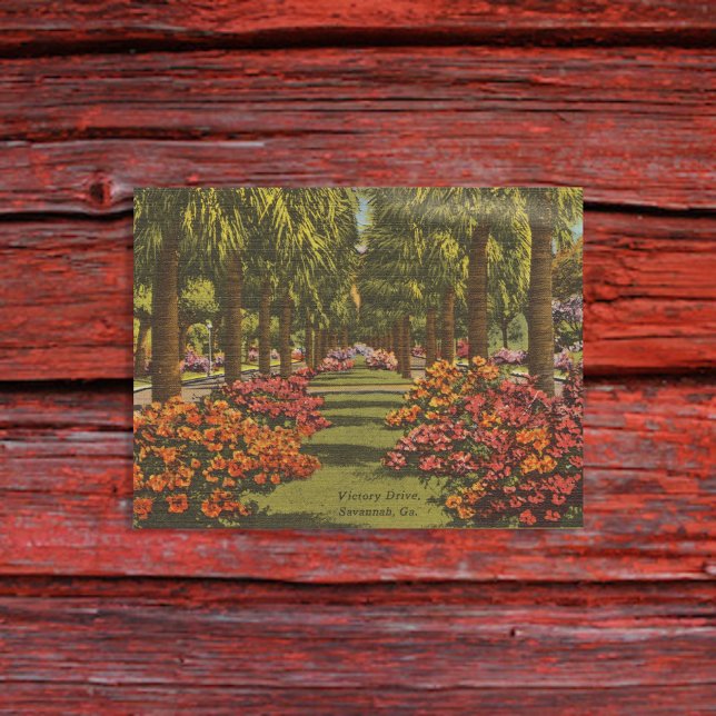 Postal Victory Dr Azaleas Palmeras Savannah GA retro (Subido por el creador)