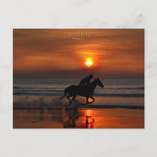 Postal vida amorosa (Anverso)