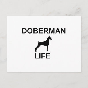 Postal vida de doberman