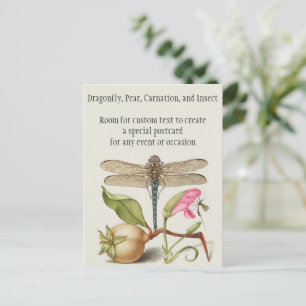 Postal Vida de jardín, libélula, pera, clavel e insecto