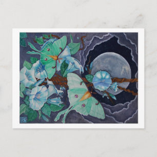 Postal Vida de la luna