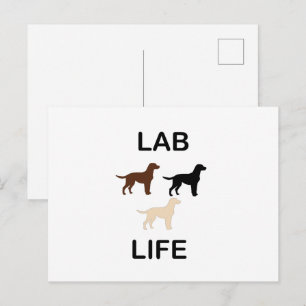 Postal vida de laboratorio siluetas de todos los colores
