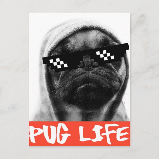 Postal Vida de Pug (Anverso)