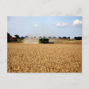 Postal Vida en el campo