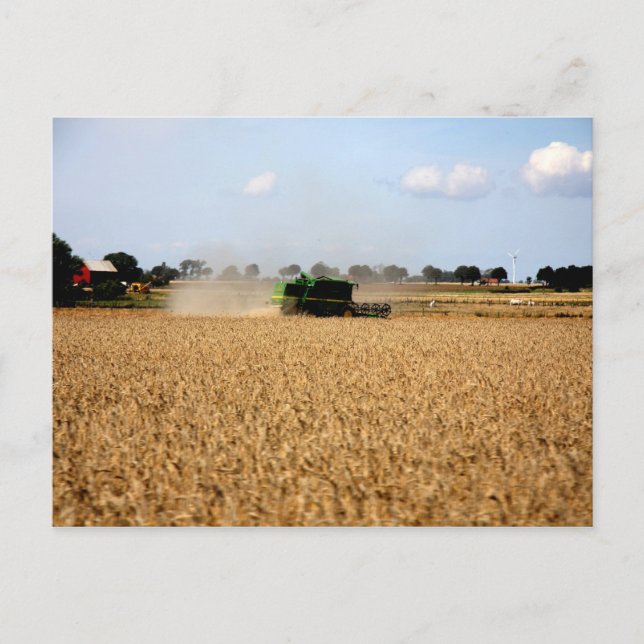 Postal Vida en el campo (Anverso)