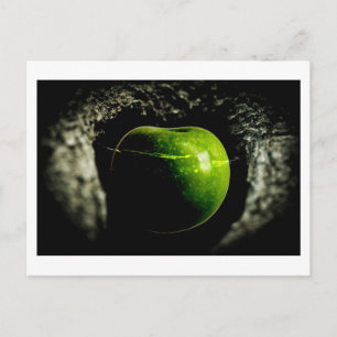 Postal vida en la manzana