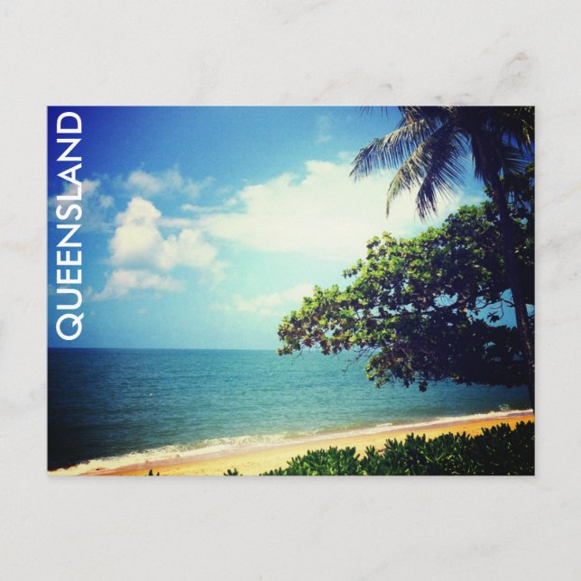 Postal vida en la playa de palmera (Anverso)