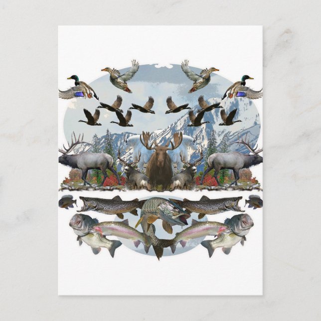 Postal Vida externa (Anverso)