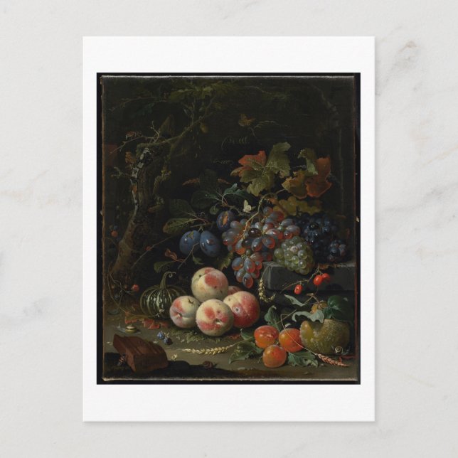 Postal Vida fija con fruta, follaje e insectos, c.1669 (Anverso)