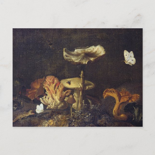 Postal Vida fija con hongos y mariposas (Anverso)