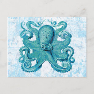 Postal Vida marina Octopus Ocean Animals Beach Life