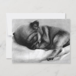 Postal Vida pequeña - Mano Pintada Chihuahua recién nacid